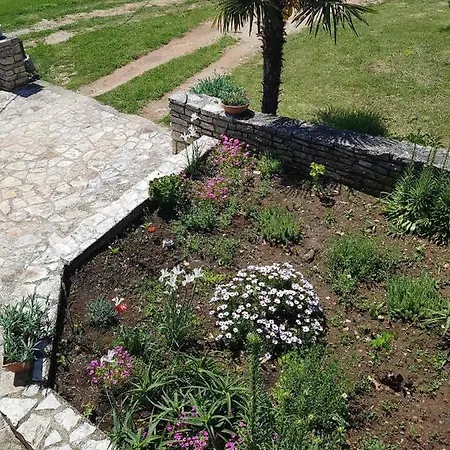 Apartman Apartman Kata Buje